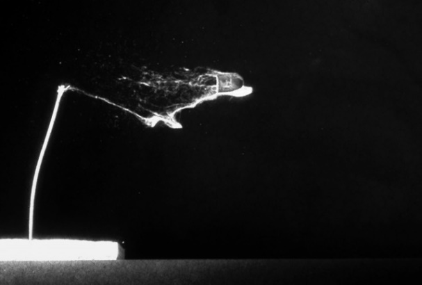 .45 caliber bullet hitting a cotton swab, 10 ns exposure – Cordin